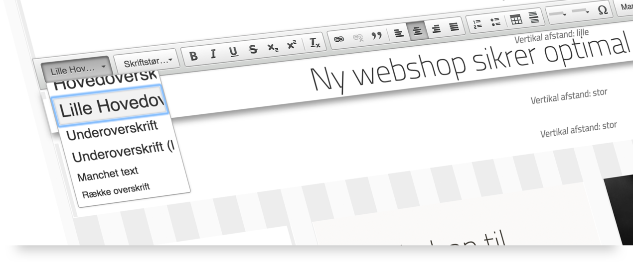 Easy to adjust Bizzkit CMS to your marketing palette