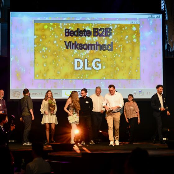 DLG vinder guld til E-handelsprisen 2019